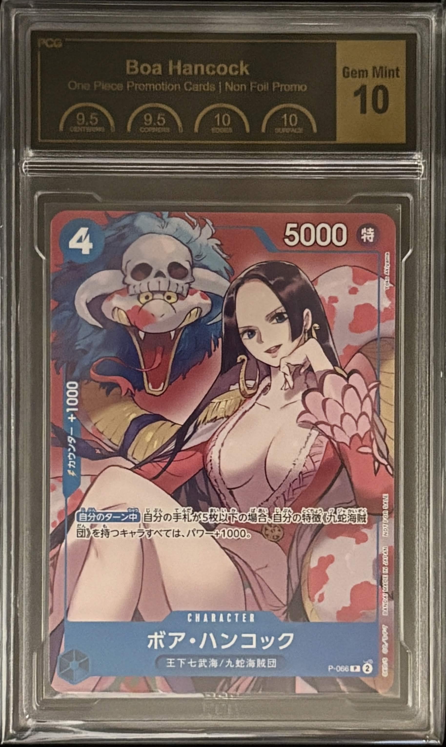 【P】{P-066}